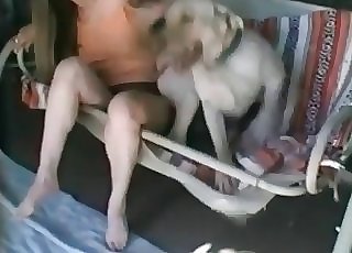 Wife is being impaled by a horny animal