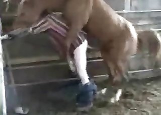 Woman is having an intense zoophilia entertainment