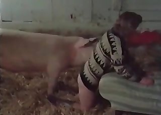 Good farm bestiality action with my wife