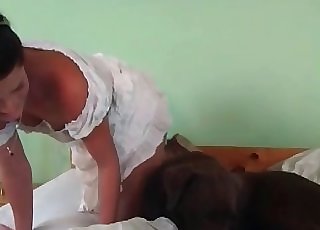 Handsome doggo is providing some oral pleasure to a woman