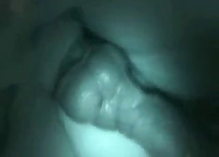 Close-up action, nighttime bestiality