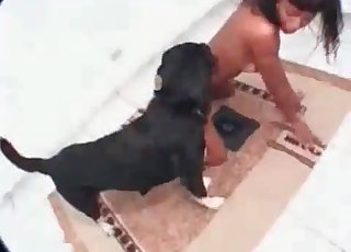 Ebony chick and her favorite dog