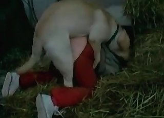 Red pants slut getting drilled from behind