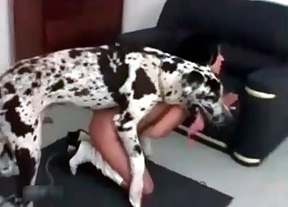 Cur railing a zoophile slut