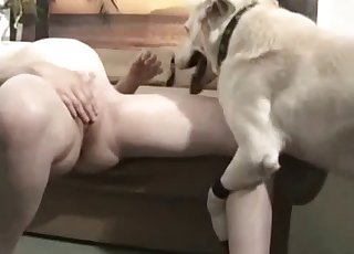 Zoo